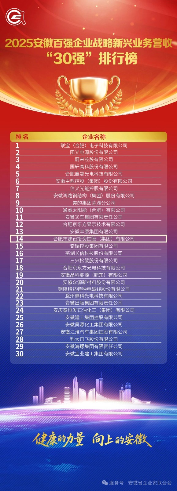 3.2025安徽百強(qiáng)企業(yè)戰(zhàn)略新興業(yè)務(wù)營收30強(qiáng)